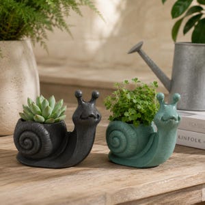 May include: Two ceramic snail planters, one black and one teal, each holding a small plant. The snail planters have a whimsical design with a spiral shell and smiling face. The planters are on a wooden surface.