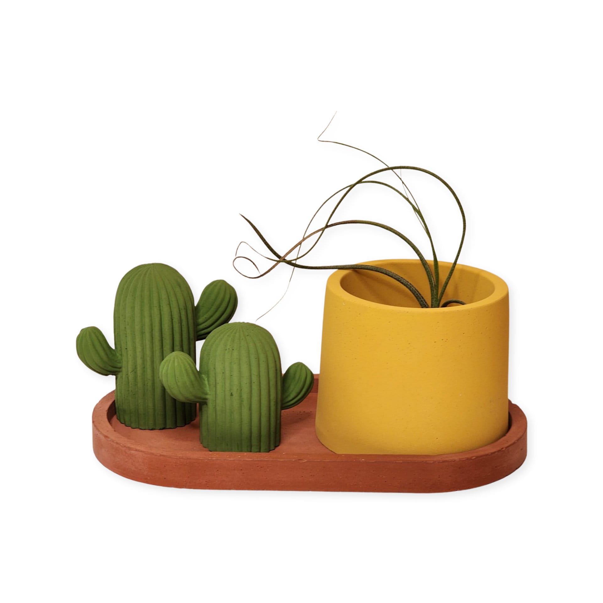 Cactus Jewelry Stand – Morgan & Rae Designs