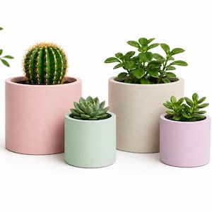 May include: Four small, colorful planters with greenery. A cactus sits in a pink planter, a succulent in a light green planter, and two other plants in beige and lavender planters. The planters are cylindrical and sit on a white background.