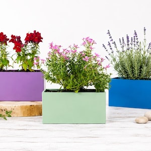May include: Three rectangular planters in purple, mint green, and blue, each filled with vibrant plants. The purple planter holds red snapdragons, the mint green one has pink flowers, and the blue one features lavender. The planters sit on a white wooden surface.