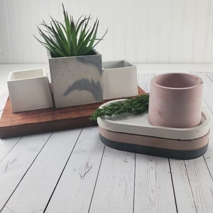 May include: A collection of concrete planters and trays including three square white and grey marbled pots, one cylindrical pink pot, and an oval multi-layered tray in white, pink, and dark grey. A green plant sits in one square pot.