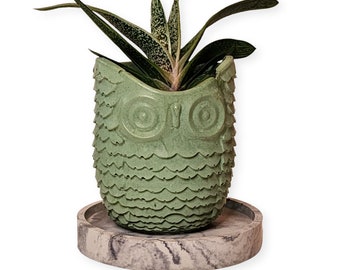 Medium Owl Concrete Planter - Succulent Pot - Modern Décor - Gift - Wedding and Shower Favor - Concrete Product - Candle Vessel