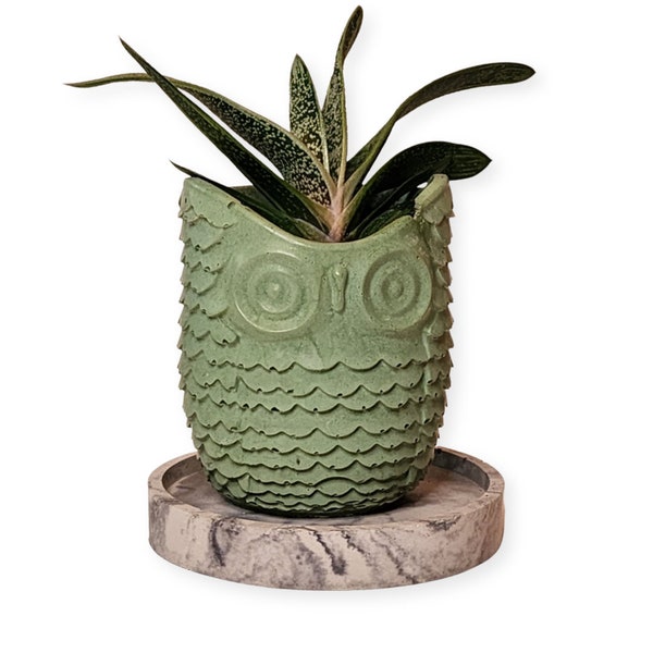 Medium Owl Concrete Planter - Succulent Pot - Modern Décor - Gift - Wedding and Shower Favor - Concrete Product - Candle Vessel