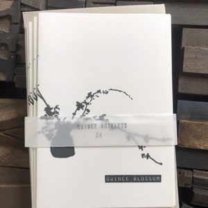 May include: A stack of white notecards with a black ink illustration of quince blossoms. The cards are wrapped with a clear band that reads "QUINCE NOTELETS X4". The bottom of the cards reads "QUINCE BLOSSOM".