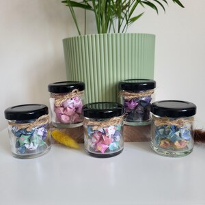 May include: Six small glass jars with black lids, each filled with colourful origami stars. The jars are tied with twine and sit in front of a green plant in a ribbed pot. The stars are various colours.