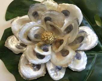 Oyster Shell Magnolia Blossoms