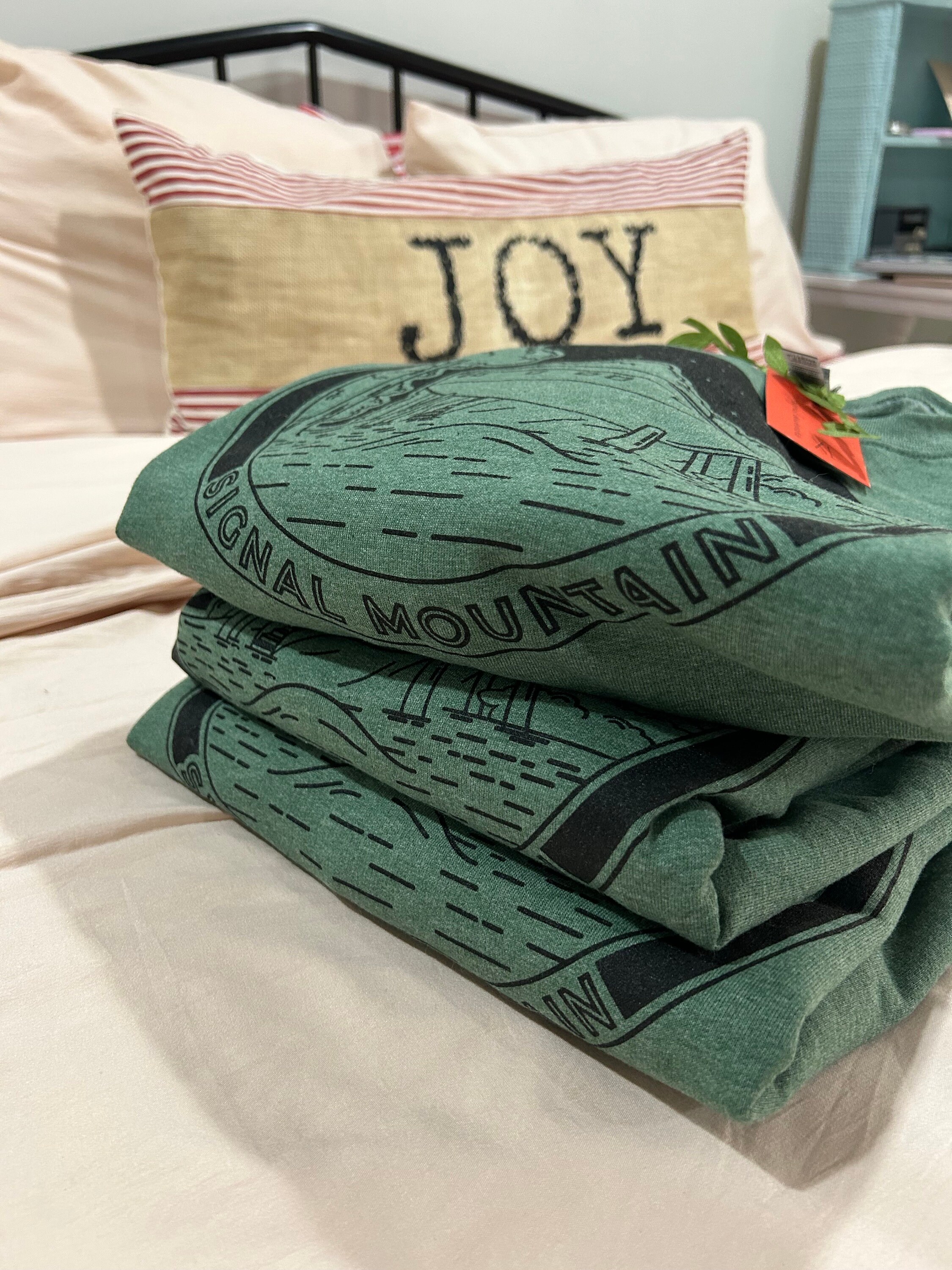 Signal Mountain, TENNESSEE Spaceship House Adult Sweatshirt Etsy