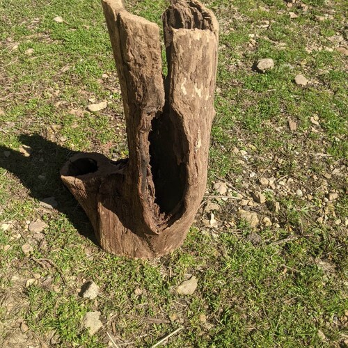 Hollow Small Animal/reptile Log Segments hide Etsy