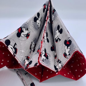 Souris en gris