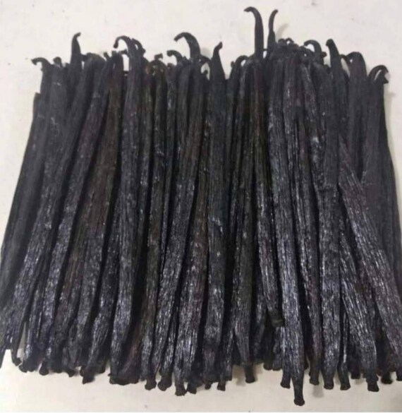 1 Kg Planifolia Bourbon Vanilla Beans From Indonesia 20 Cm Etsy