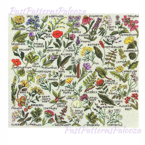 Motifs de point de croix vintage Mini herbes épices plantes médicinales fleurs motifs PDF téléchargement numérique instantané broderie remèdes naturels A1