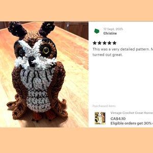 Op de afbeelding: Een handgemaakte gehaakte uil in bruin, wit en zwart, met grote gele ogen. De uil heeft een gedetailleerd patroon en zit op een houten oppervlak. De tekst in de afbeelding luidt: "This was a very detailed pattern. My owl turned out great."