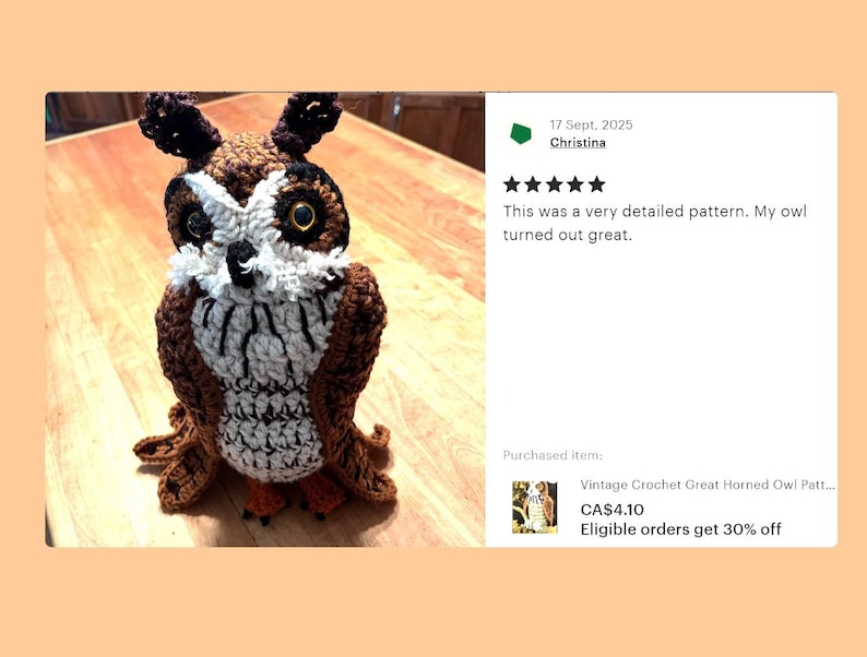 Op de afbeelding: Een handgemaakte gehaakte uil in bruin, wit en zwart, met grote gele ogen. De uil heeft een gedetailleerd patroon en zit op een houten oppervlak. De tekst in de afbeelding luidt: "This was a very detailed pattern. My owl turned out great."