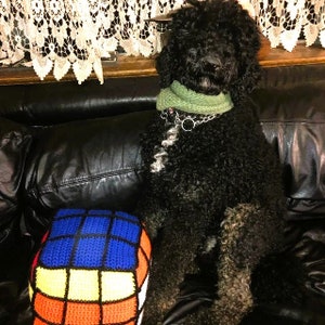Pode incluir: Um c&atilde;o preto usando uma echarpe verde est&aacute; sentado em um sof&aacute; de couro preto. Uma almofada de Rubik's Cube de croch&ecirc; fica ao lado do c&atilde;o.