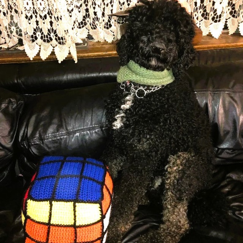 Pode incluir: Um c&atilde;o preto usando uma echarpe verde est&aacute; sentado em um sof&aacute; de couro preto. Uma almofada de Rubik's Cube de croch&ecirc; fica ao lado do c&atilde;o.