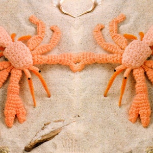 Vintage Crochet Pattern 4.5&quot; Hermit Crab PDF Instant Digital Download Realistic Sea Life Amigurumi Plush Soft Toy 4 Ply