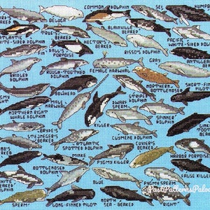 Vintage Cross Stitch Patterns Mini Marine Animals Motifs Dolphins Whales Beluga Narwhal PDF Instant Digital Download Ocean Embroidery A1