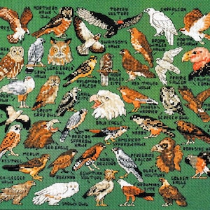 Vintage Cross Stitch Patterns Mini Birds of Prey Motifs PDF Instant Digital Download Miniature Owls Hawks Falcons Embroidery Designs 1-3&quot; A1