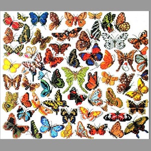 May include: A colorful collection of butterflies with various wing patterns and colors, including blue, green, yellow, orange, red, and black.