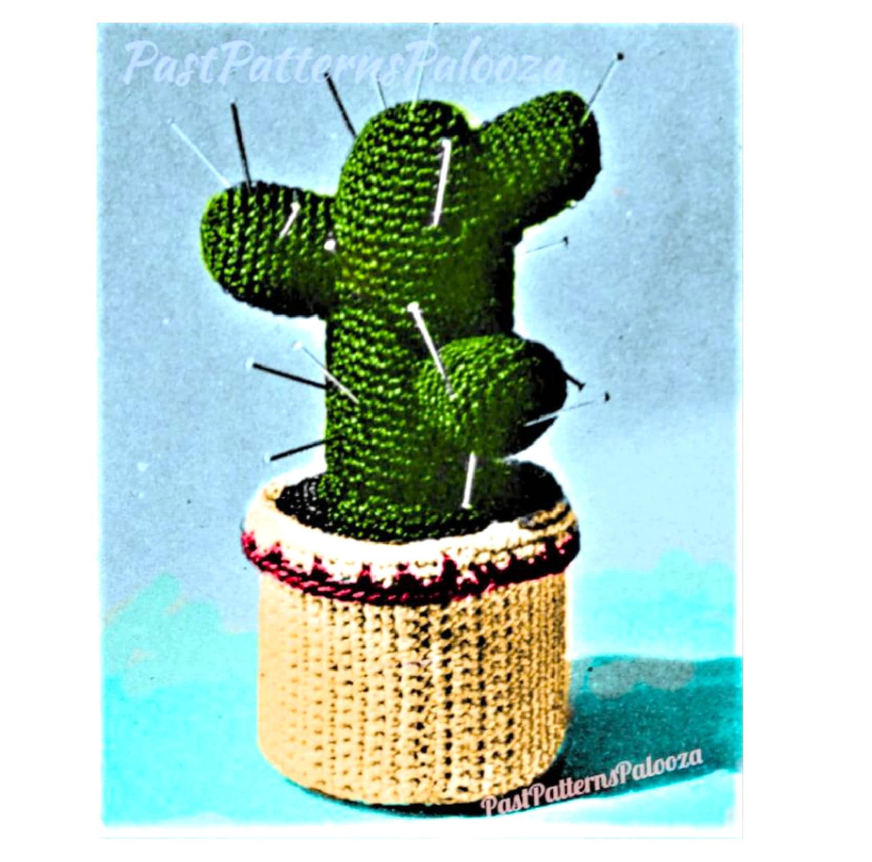 a monstera plant Monstera Deliciosa