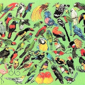 Peut inclure: Un motif de point de croix coloré représentant une variété d'oiseaux, dont des perroquets, des toucans et d'autres espèces exotiques. Les oiseaux sont disposés en forme de cœur sur un fond vert.