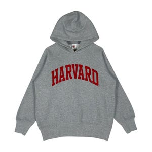 Vintage BNWT GU X Harvard University Hoodie Sweater Grey Big Logo Pullover Jumper Size XL
