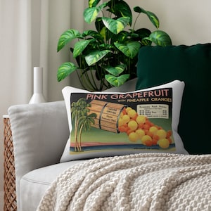 Pink Grapefruit Orange Grove Postcard Pillow ~ Florida Decor ~ Image from 1940s Citrus Postcard Ad ~ Mid-Century Style ~ Chester Groves