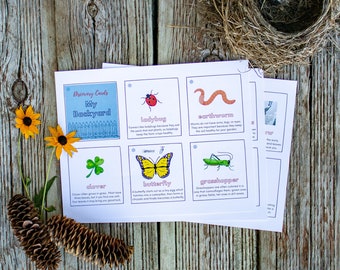 My Backyard- Discovery Cards/ Scavenger Hunt outside activity for Kids to get them Outdoors/ Digital Download, Printable