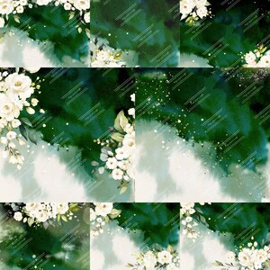 Rosas blancas sobre verde. Hermosas rosas de acuarela sobre fondo verde. Archivos de papel digital. Scrapbooking.