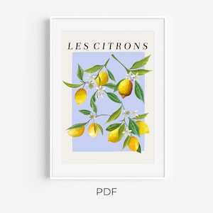 Les Citrons Purple, Citrus Illustration Art, Modern Minimal Colorful Lemon Poster, Simple Fruit Print | Instant Download | Digital Design