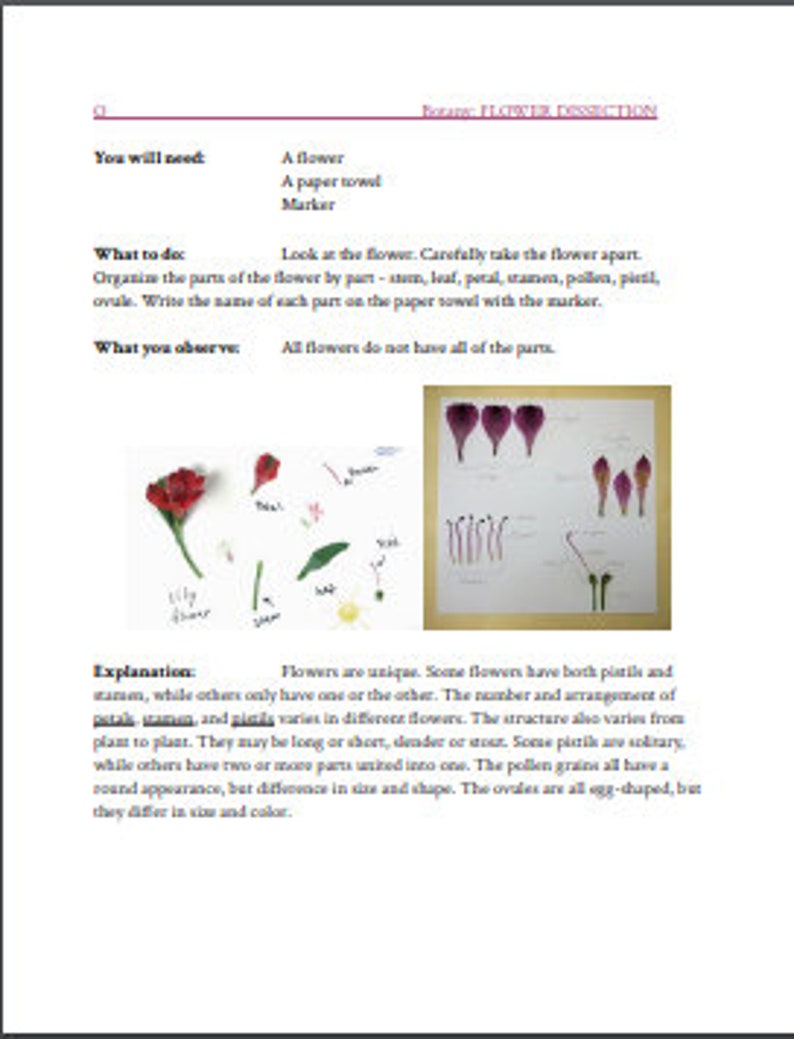 Montessori Botany Experiment Cards Etsy