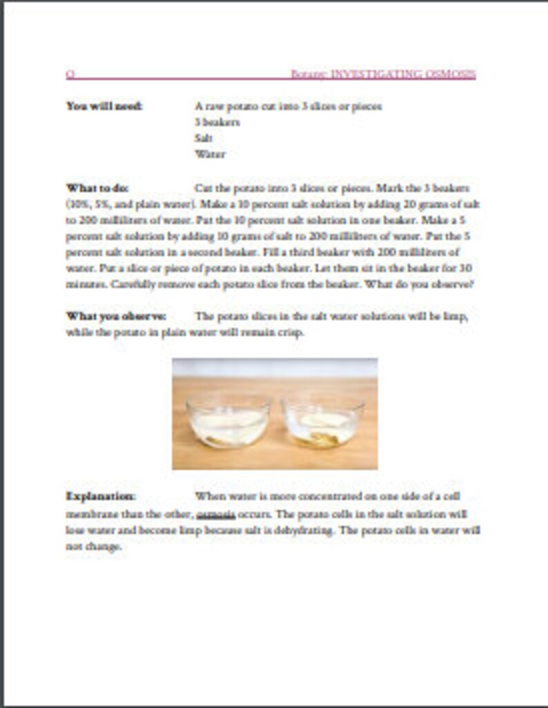 Montessori Botany Experiment Cards Etsy