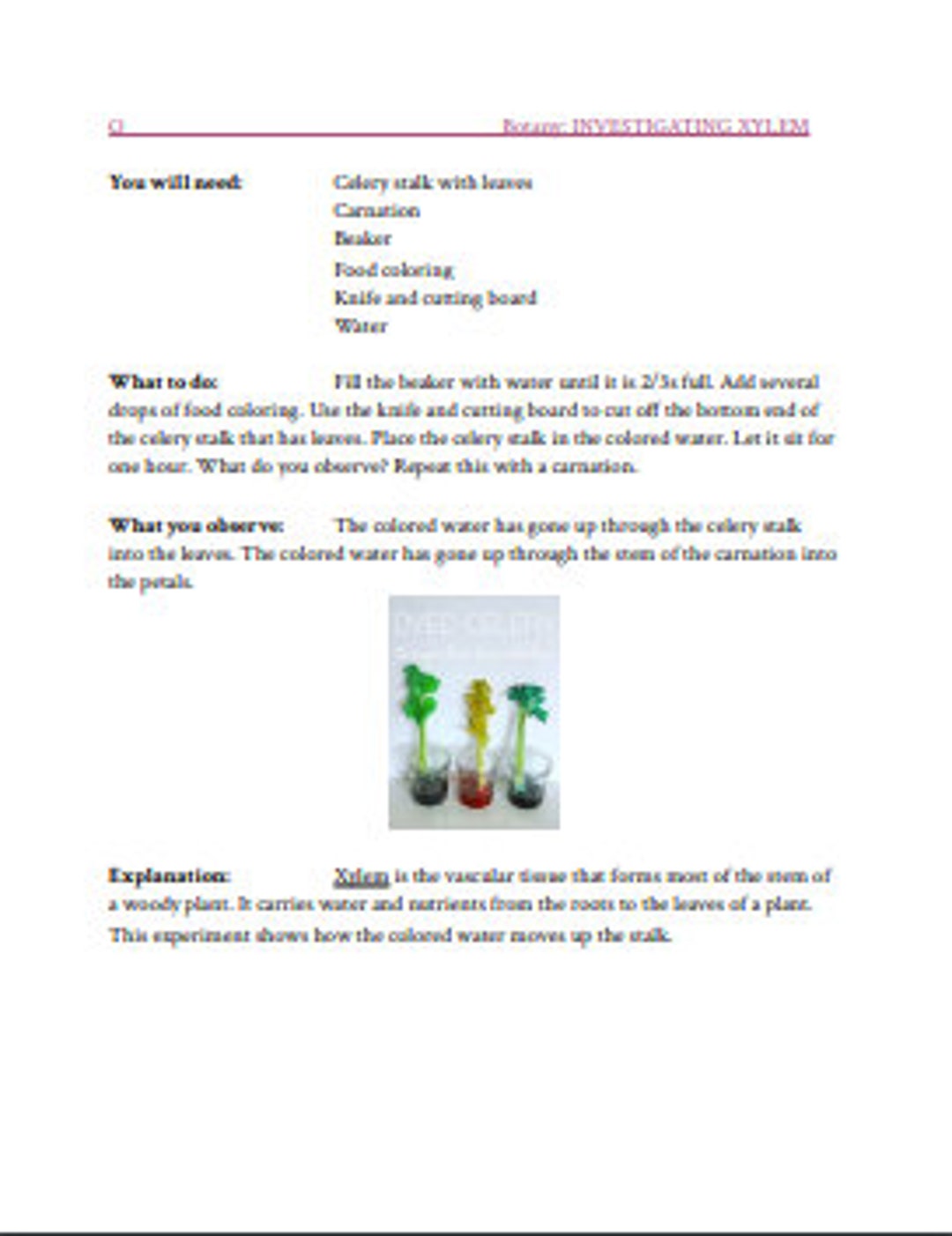 Montessori Botany Experiment Cards Etsy