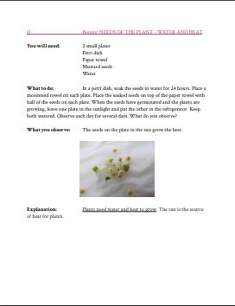 Montessori Botany Experiment Cards Etsy