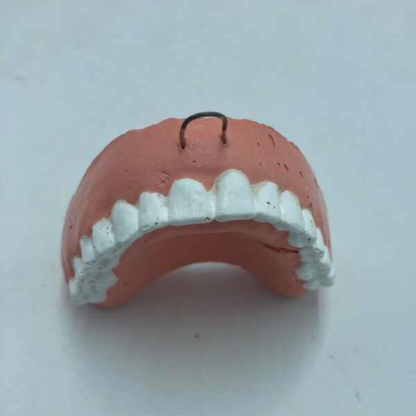 False Teeth Etsy