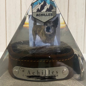 Pet memorial pyramid, large, resin memorial, dog/cat ashes