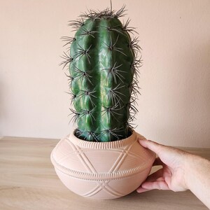 May include: A tall, cylindrical green cactus with sharp, dark spines planted in a round, light peach-colored ceramic pot. The pot features a textured, geometric pattern of raised lines and small indentations around its exterior surface.