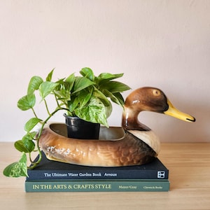 May include: A ceramic duck planter in shades of brown, tan, and white, holding a potted green plant with variegated leaves. The planter sits atop two books: "The Ultimate Water Garden Book" and "IN THE ARTS & CRAFTS STYLE".