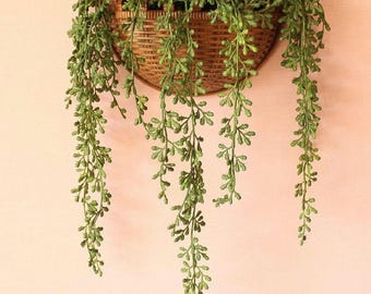 Vintage Woven Style Wall Planter, Plastic