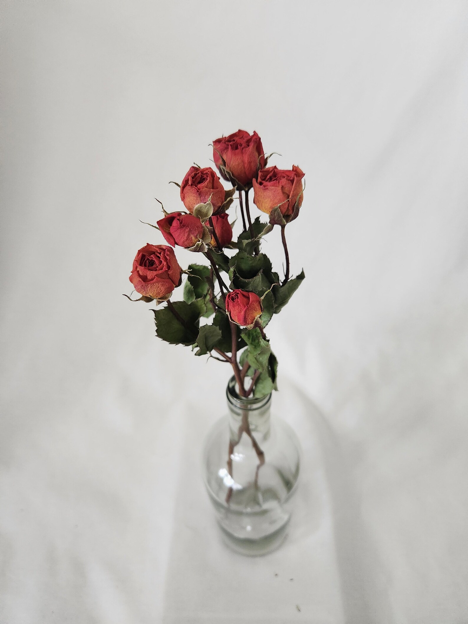 Dried Spray Rose Bunch Natural Colors Dried Rose Bouquet - Etsy