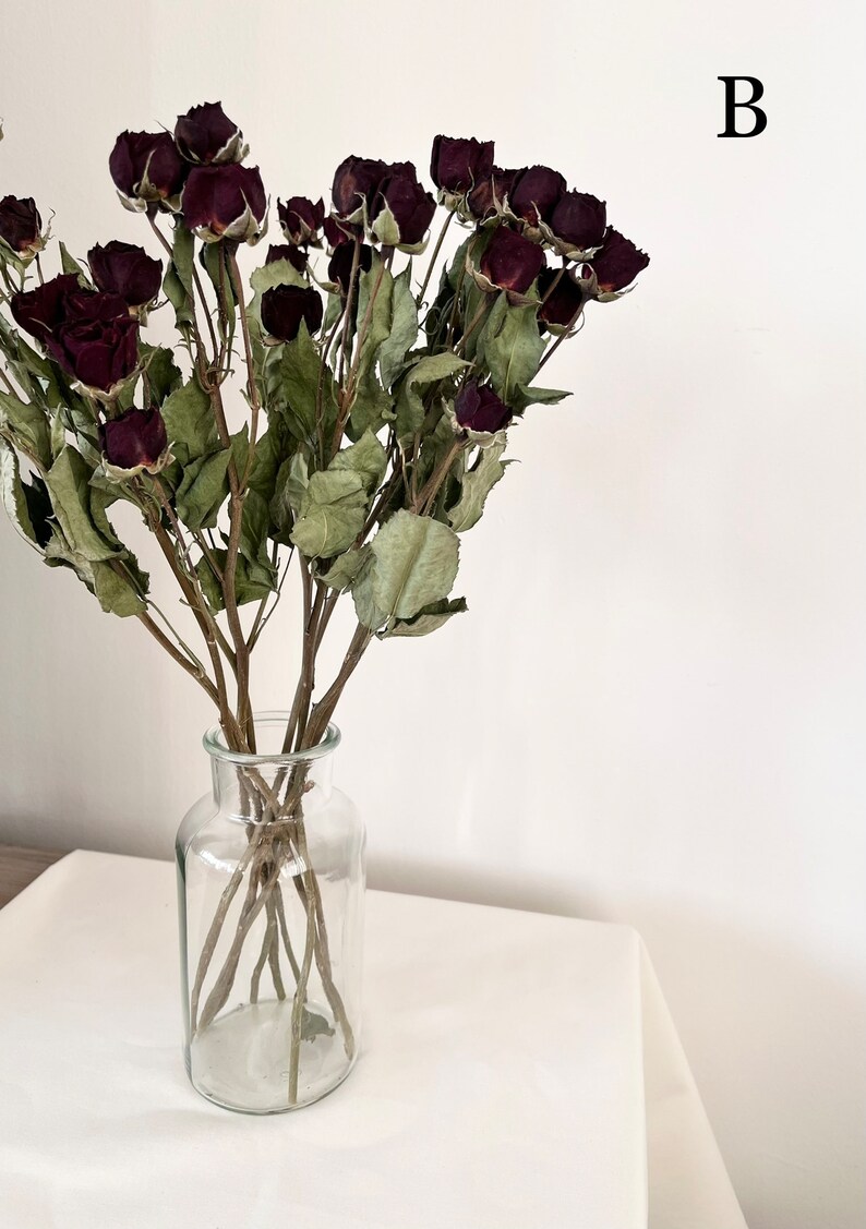 Dried Spray Rose Bunch Natural Colors Dried Rose Bouquet - Etsy