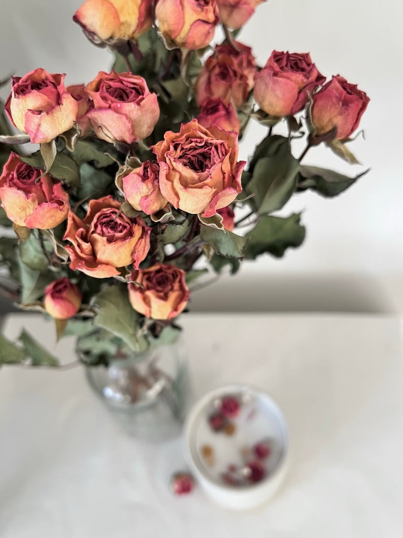 Dried Spray Rose Bunch Natural Colors Dried Rose Bouquet - Etsy