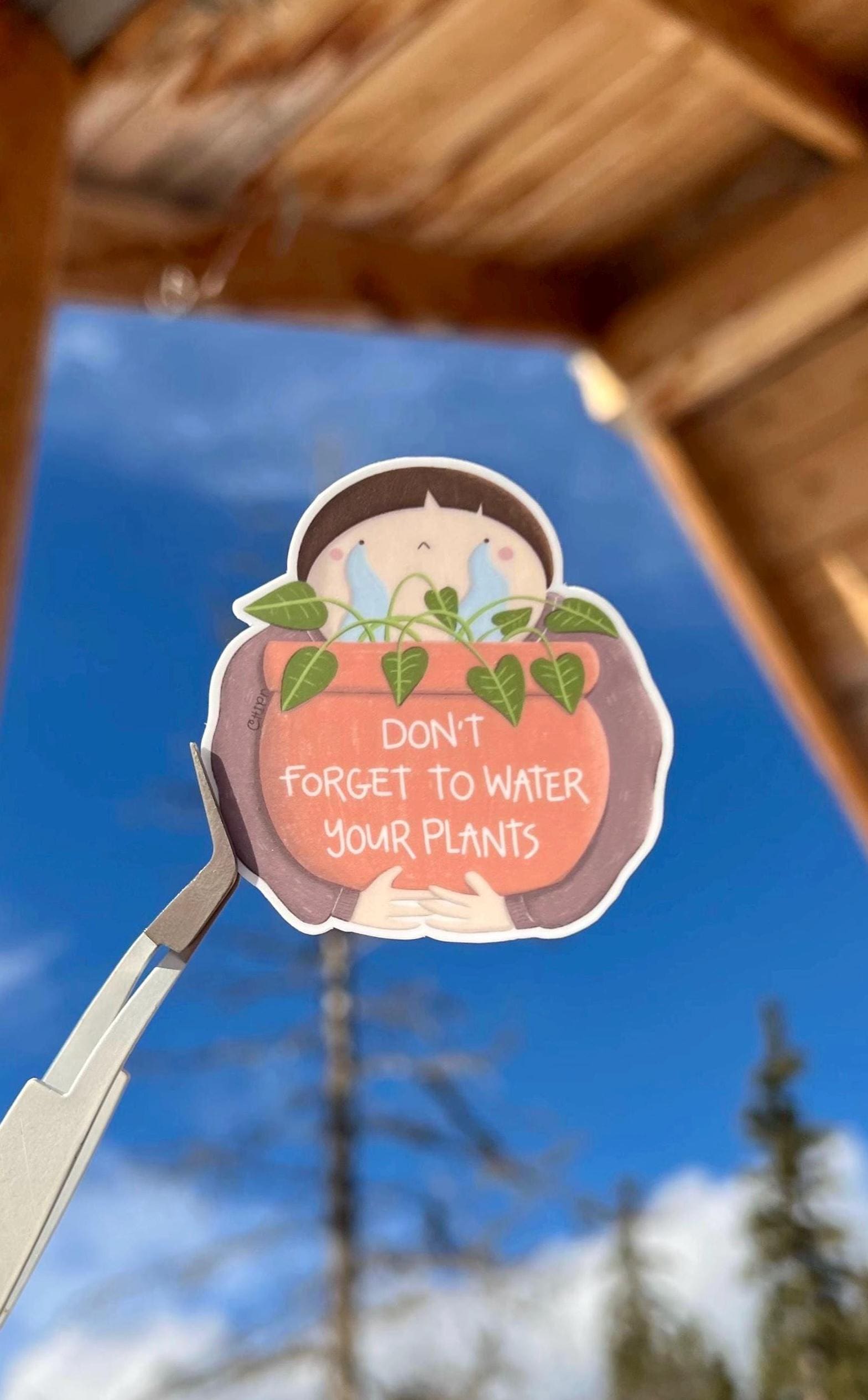 Don't Forget to Water Your Plants Vinyl Sticker: Funny Plant Lover Gift