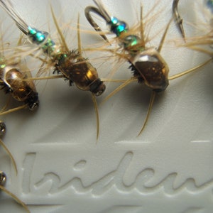 Fliegenfisch fliegen für Forellenstahlkopf und andere Fischarten