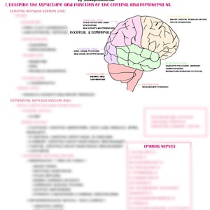 Neurological Assessment Study Guide
