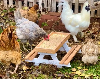 Handcrafted Chicken feeder in the style of a picnic table