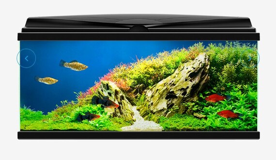 Black light aquarium decorations hotsell