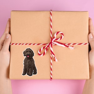 Puede incluir: Una caja de regalo marr&oacute;n y blanca atada con un lazo de cuerda roja y blanca. Una imagen de dibujos animados de un perro marr&oacute;n est&aacute; en la parte delantera de la caja.