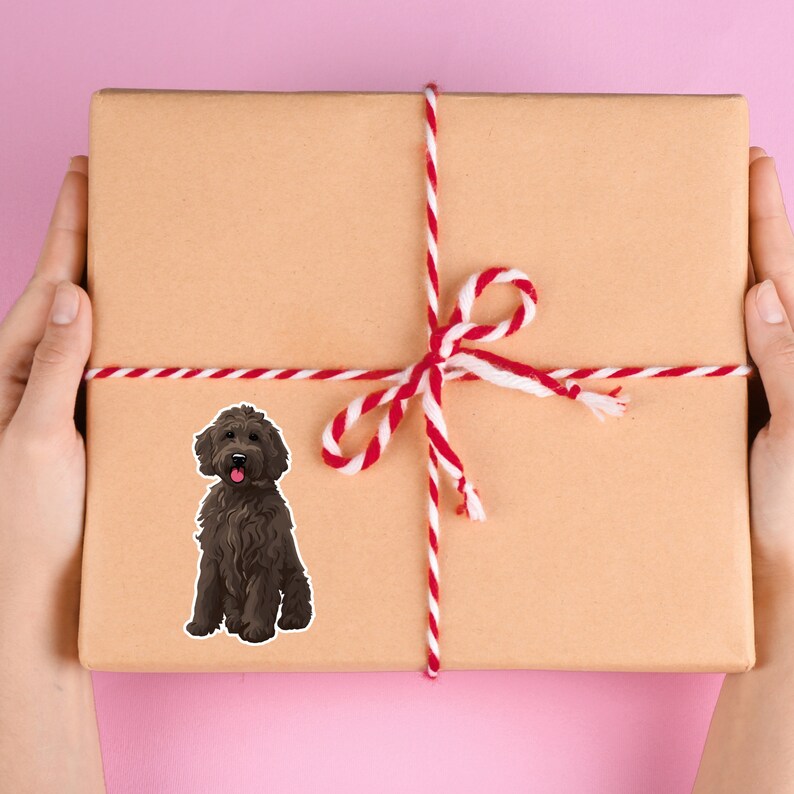 Puede incluir: Una caja de regalo marr&oacute;n y blanca atada con un lazo de cuerda roja y blanca. Una imagen de dibujos animados de un perro marr&oacute;n est&aacute; en la parte delantera de la caja.