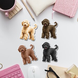 K&ouml;nnte beinhalten: Vier Aufkleber mit Illustrationen von Goldendoodle-Hunden in verschiedenen Farben: hellgold, dunkelbraun, rotbraun und schwarz. Jeder Aufkleber zeigt einen stehenden Goldendoodle mit flauschigem Fell und fr&ouml;hlichem Gesichtsausdruck.